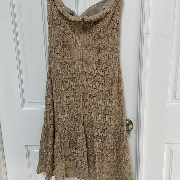 Cache Gold Dress - Picture 4 of 9